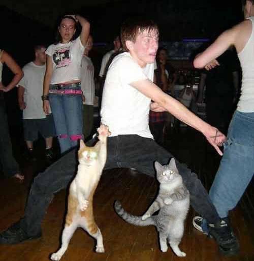 dancing-with-cats1.jpg